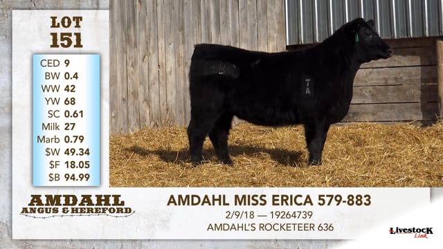 Lot #151 - AMDAHL MISS ERICA 579-883