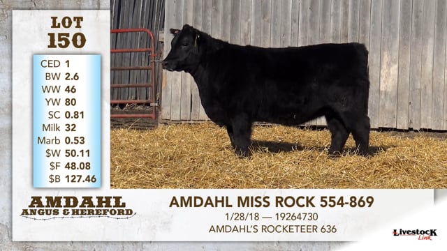 Lot #150 - AMDAHL MISS ROCK 554-869