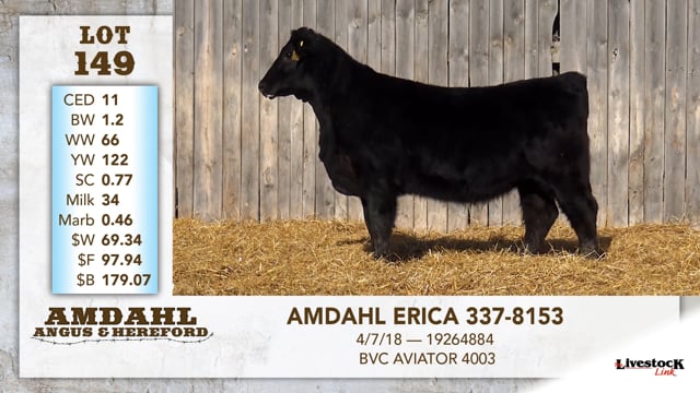 Lot #149 - AMDAHL ERICA 337-8153