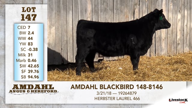 Lot #147 - AMDAHL BLACKBIRD 148-8146