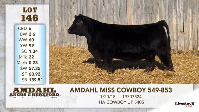 Lot #146 - AMDAHL MISS COWBOY 549-893