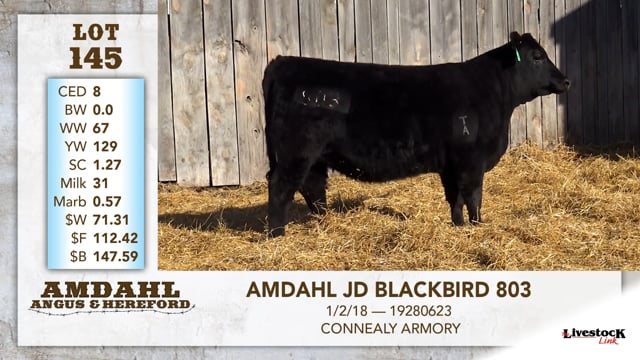 Lot #145 - AMDAHL JD BLACKBIRD 803