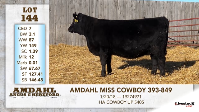 Lot #144 - AMDAHL MISS COWBOY 393-849