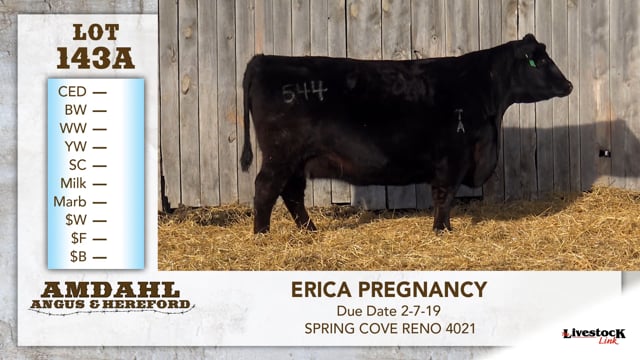 Lot #143A - ERICA PREGNANCY