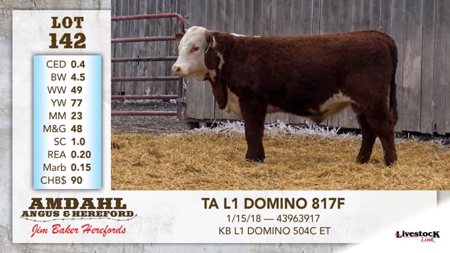 Lot #142 - TA L1 DOMINO 817F