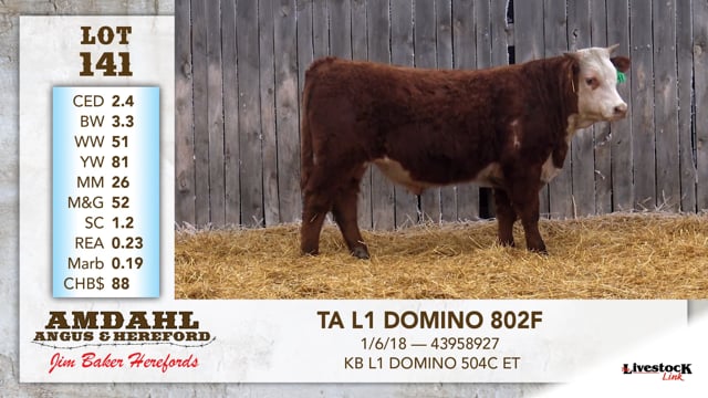Lot #141 - TA L1 DOMINO 802F