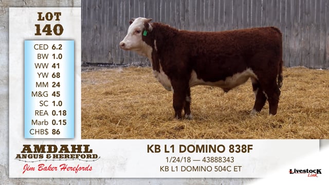 Lot #140 - KB L1 DOMINO 838F