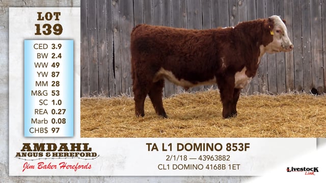 Lot #139 - TA L1 DOMINO 853F