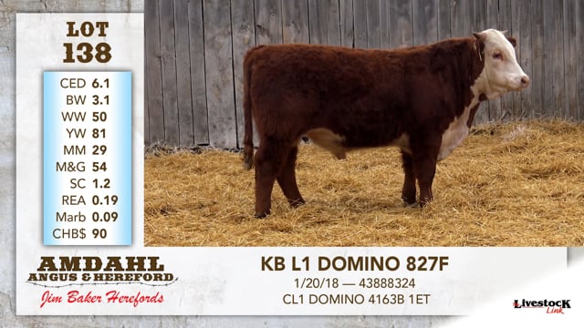 Lot #138 - KB L1 DOMINO 827F
