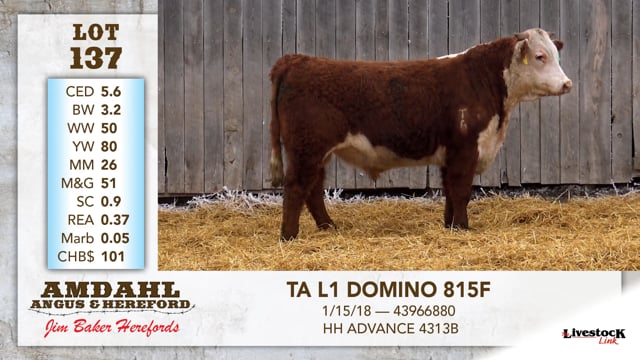 Lot #137 - TA L1 DOMINO 815F