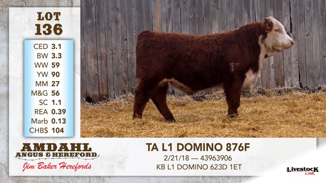 Lot #136 - TA L1 DOMINO 876F
