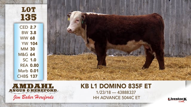 Lot #135 - KB L1 DOMINO 835F ET