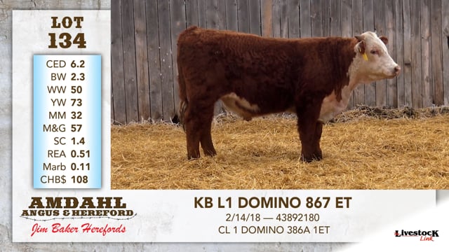 Lot #134 - KB L1 DOMINO 867 ET