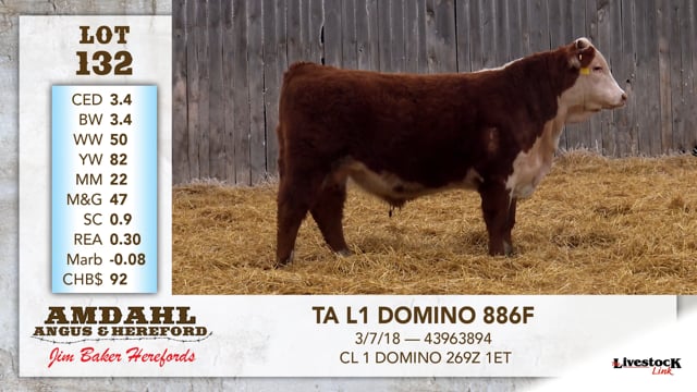 Lot #132 - TA L1 DOMINO 886F