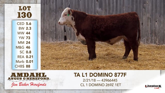 Lot #130 - TA L1 DOMINO 877F