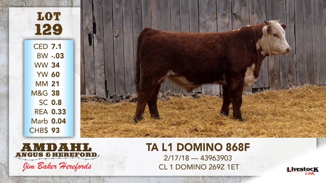 Lot #129 - TA L1 DOMINO 868F