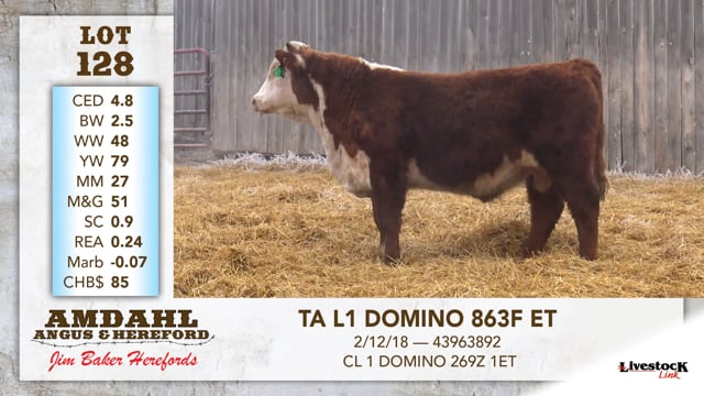 Lot #128 - TA L1 DOMINO 863F ET