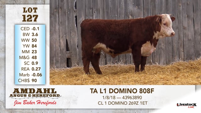 Lot #127 - TA L1 DOMINO 808F