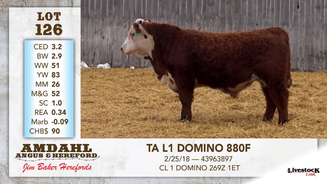 Lot #126 - TA L1 DOMINO 880F