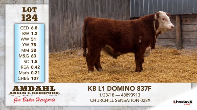 Lot #124 - KB L1 DOMINO 837F