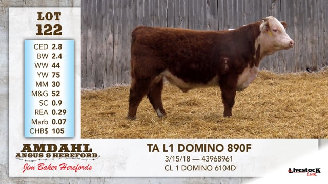 Lot #122 - TA L1 DOMINO 890F