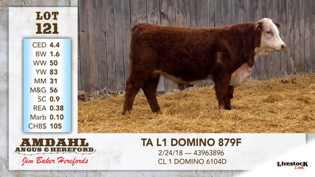 Lot #121 - TA L1 DOMINO 879F