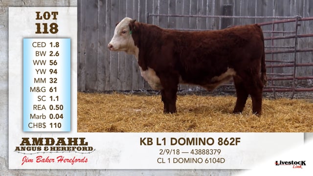 Lot #118 - KB L1 DOMINO 862F
