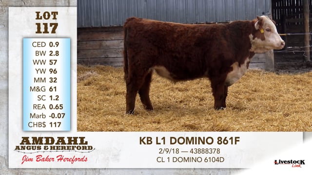 Lot #117 - KB L1 DOMINO 861F