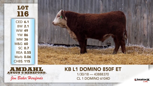Lot #116 - KB L1 DOMINO 850F ET