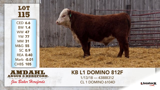 Lot #115 - KB L1 DOMINO 812F