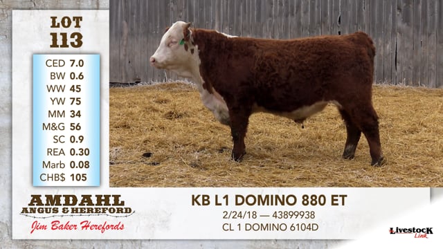 Lot #113 - KB L1 DOMINO 880 ET