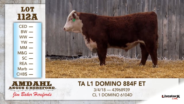 Lot #112A - TA L1 DOMINO 884F ET