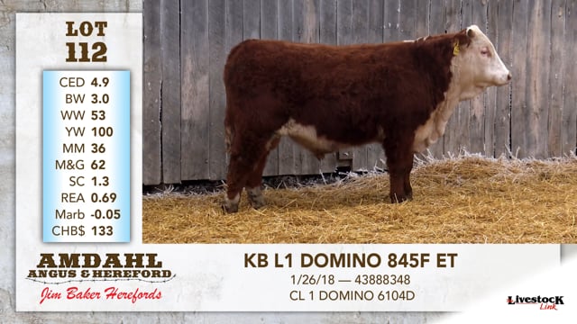 Lot #112 - KB L1 DOMINO 845F ET