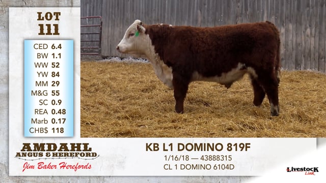 Lot #111 - KB L1 DOMINO 819F