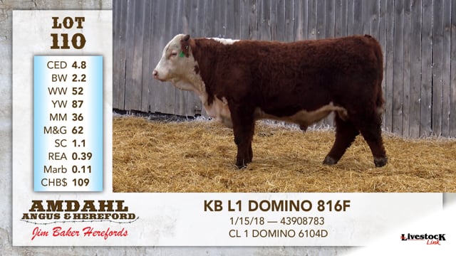 Lot #110 - KB L1 DOMINO 816F