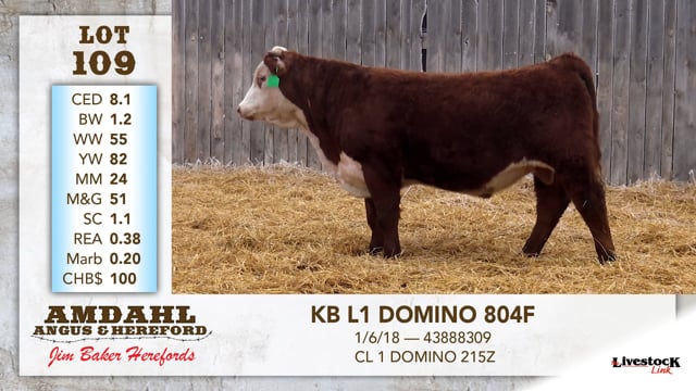 Lot #109 - KB L1 DOMINO 804F