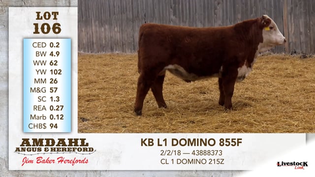 Lot #106 - KB L1 DOMINO 855F