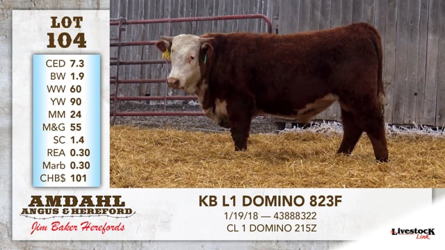 Lot #104 - KB L1 DOMINO 823F