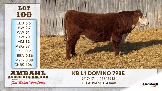 Lot #100 - KB L1 DOMINO 798E