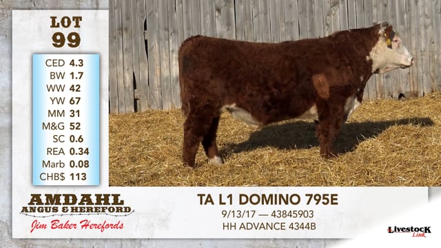 Lot #99 - TA L1 DOMINO 795E