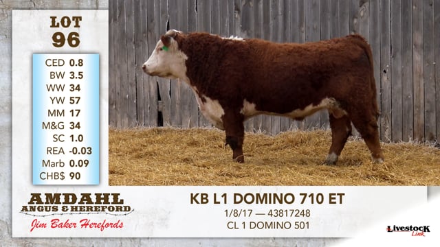 Lot #96 - KB L1 DOMINO 710 ET