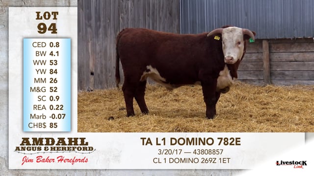 Lot #94 - TA L1 DOMINO 782E