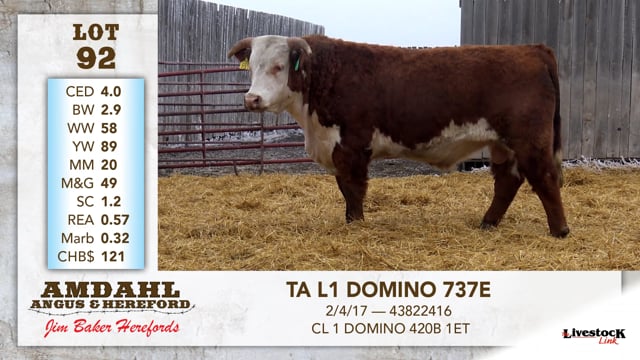 Lot #92 - TA L1 DOMINO 737E