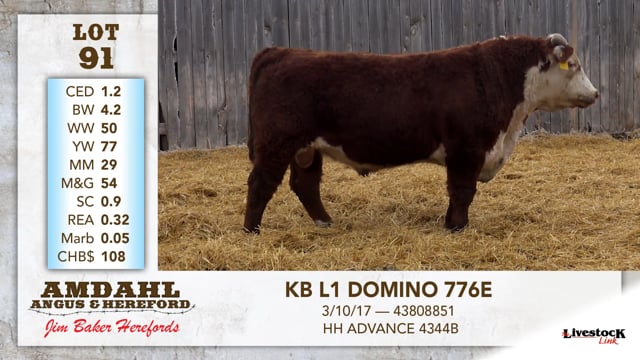 Lot #91 - KB L1 DOMINO 776E