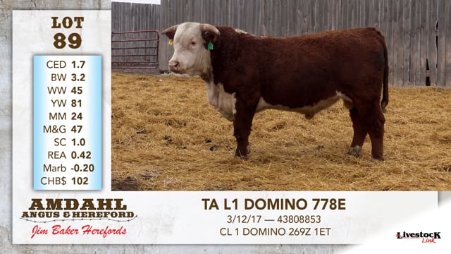 Lot #89 - TA L1 DOMINO DOMINO 778E