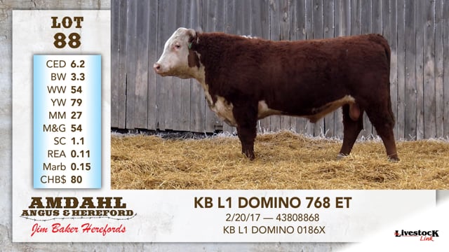 Lot #88 - KB L1 DOMINO 768 ET
