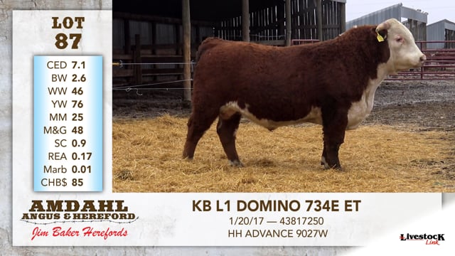 Lot #87 - KB L1 DOMINO 734E