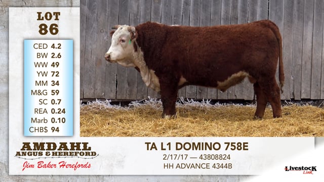 Lot #86 - TA L1 DOMINO 758E
