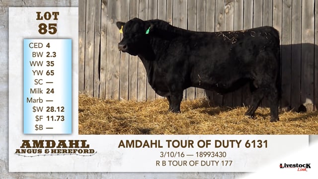 Lot #85 - AMDAHL TOUR OF DUTY 6131