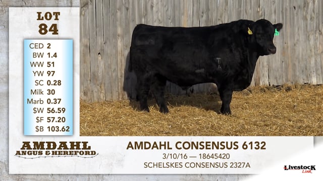 Lot #84 - AMDAHL CONSENSUS 6132